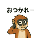 霊長類最速★パタスモンキー！（個別スタンプ：21）