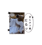 かにぞうすい2（個別スタンプ：5）