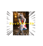 かにぞうすい2（個別スタンプ：8）