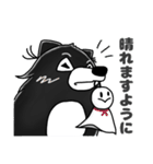 ボフッと黒ポメ ーお天気モードー（個別スタンプ：8）