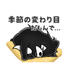 ボフッと黒ポメ ーお天気モードー（個別スタンプ：13）