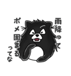 ボフッと黒ポメ ーお天気モードー（個別スタンプ：18）
