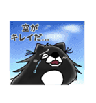 ボフッと黒ポメ ーお天気モードー（個別スタンプ：25）