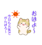 ちびころにゃんズの毎日使うスタンプ（個別スタンプ：14）