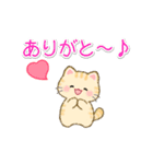 ちびころにゃんズの毎日使うスタンプ（個別スタンプ：17）