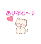 白ころにゃんの毎日使うスタンプ（個別スタンプ：17）