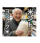 古古古米を食べにここ来ない？（個別スタンプ：29）