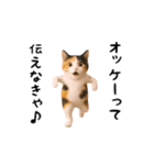 エッホエッホ猫（個別スタンプ：1）