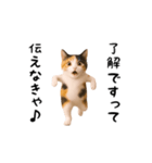 エッホエッホ猫（個別スタンプ：2）