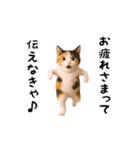 エッホエッホ猫（個別スタンプ：4）