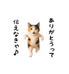 エッホエッホ猫（個別スタンプ：5）