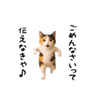 エッホエッホ猫（個別スタンプ：8）