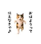 エッホエッホ猫（個別スタンプ：9）