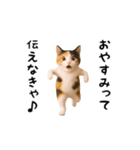 エッホエッホ猫（個別スタンプ：10）