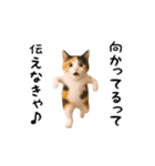エッホエッホ猫（個別スタンプ：13）