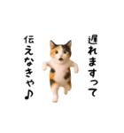 エッホエッホ猫（個別スタンプ：15）