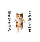 エッホエッホ猫（個別スタンプ：20）