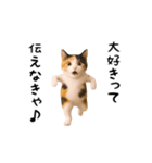 エッホエッホ猫（個別スタンプ：21）