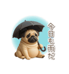 毎日使える3Dパグ【連絡・かわいい】（個別スタンプ：1）