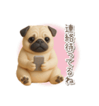 毎日使える3Dパグ【連絡・かわいい】（個別スタンプ：8）