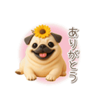 毎日使える3Dパグ【連絡・かわいい】（個別スタンプ：11）