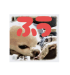 おちび達とその他の皆様（個別スタンプ：2）