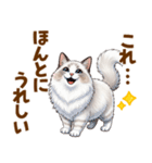 ふわもふラグドールの気持ちスタンプ（個別スタンプ：6）