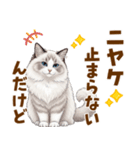 ふわもふラグドールの気持ちスタンプ（個別スタンプ：10）
