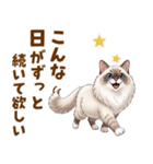ふわもふラグドールの気持ちスタンプ（個別スタンプ：11）