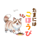 ふわもふラグドールの気持ちスタンプ（個別スタンプ：20）