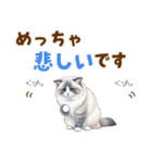 ふわもふラグドールの気持ちスタンプ（個別スタンプ：22）