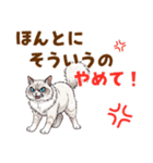 ふわもふラグドールの気持ちスタンプ（個別スタンプ：23）