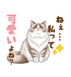 ふわもふラグドールの気持ちスタンプ（個別スタンプ：24）