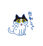 「ネコが好き！」スタンプ（個別スタンプ：12）