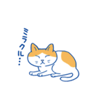 「ネコが好き！」スタンプ（個別スタンプ：17）