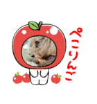 チョコ様＆ららちゃんのスタンプ（個別スタンプ：4）