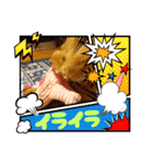 チョコ様＆ららちゃんのスタンプ（個別スタンプ：8）