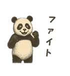 レトロパンダの日常使い（個別スタンプ：1）