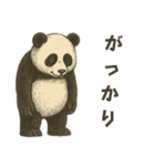 レトロパンダの日常使い（個別スタンプ：4）