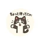 シールみたいな まぁるいニャンコスタンプ（個別スタンプ：5）