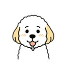 I'm livin ！（個別スタンプ：8）