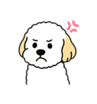 I'm livin ！（個別スタンプ：12）