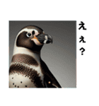フンボルトペンギン01（個別スタンプ：6）