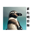 フンボルトペンギン01（個別スタンプ：8）