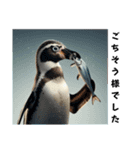 フンボルトペンギン01（個別スタンプ：16）