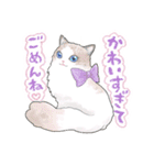 猫好きにやる猫好きのためのお猫様スタンプ（個別スタンプ：4）