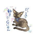 猫好きにやる猫好きのためのお猫様スタンプ（個別スタンプ：8）