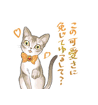猫好きにやる猫好きのためのお猫様スタンプ（個別スタンプ：12）