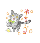 猫好きにやる猫好きのためのお猫様スタンプ（個別スタンプ：13）