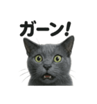 リアルなロシアンブルーの日常感情日記（個別スタンプ：3）